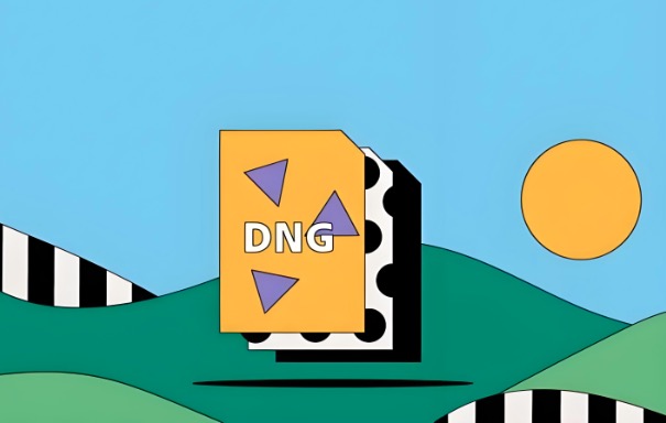 DNG格式